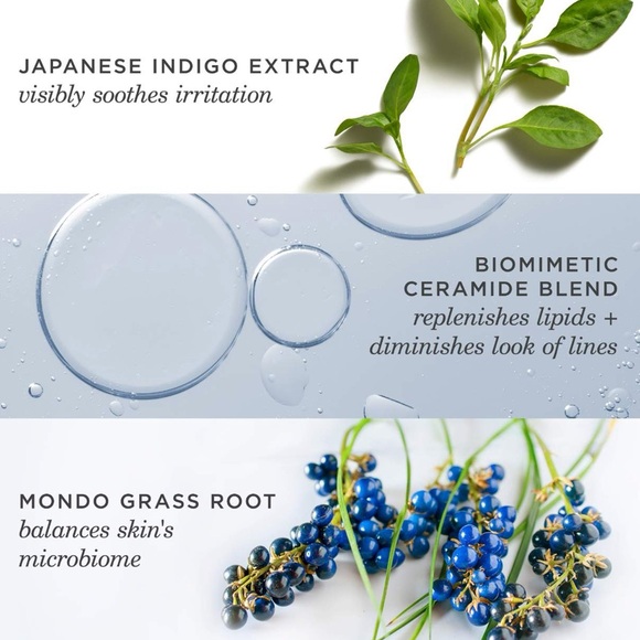 💦 TATCHA Indigo Overnight Repair - Picture 4 of 6